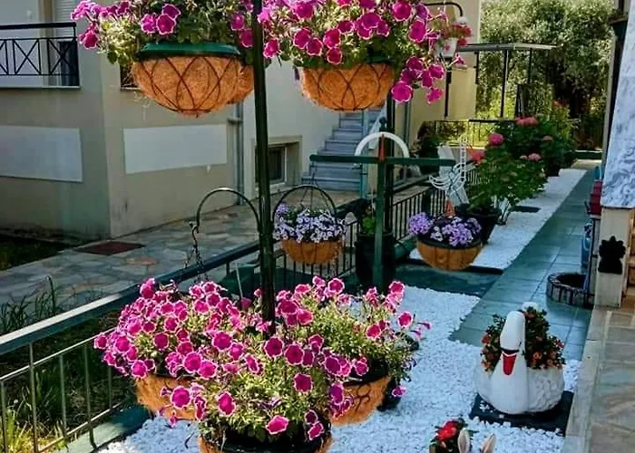 Georgelli *
