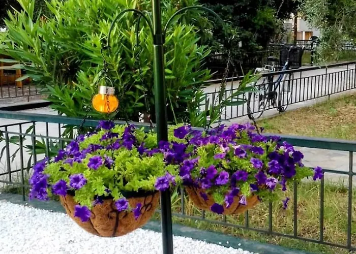 Georgelli * Skala Potamia